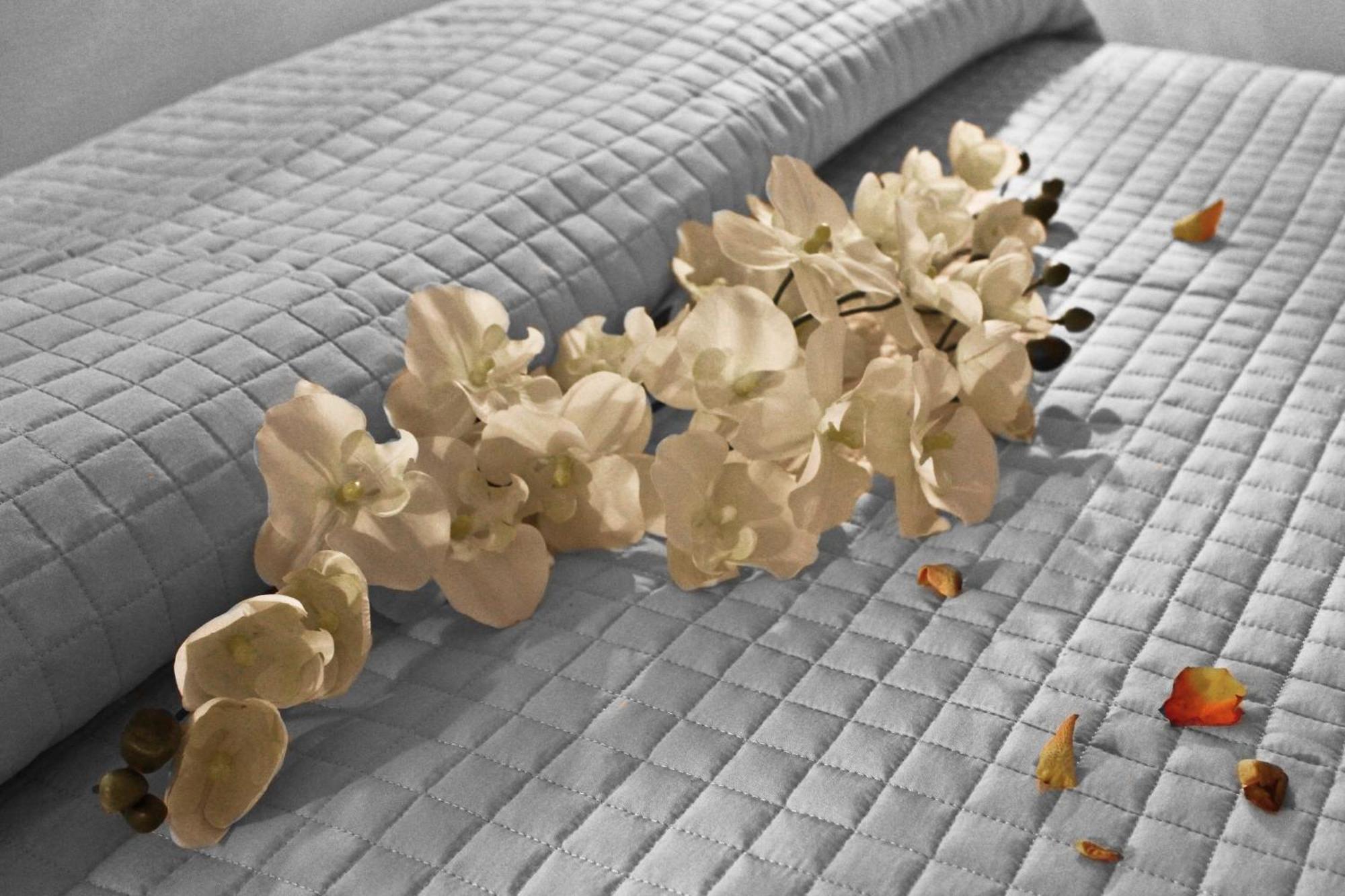 Anastasi Hotel E Residence Cervia Quarto foto